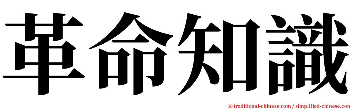 革命知識 serif font