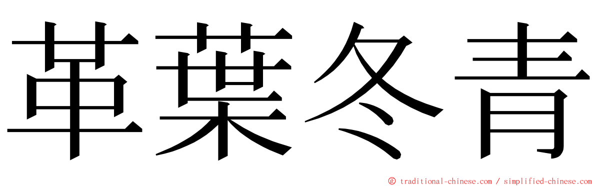 革葉冬青 ming font