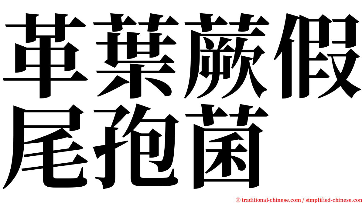 革葉蕨假尾孢菌 serif font