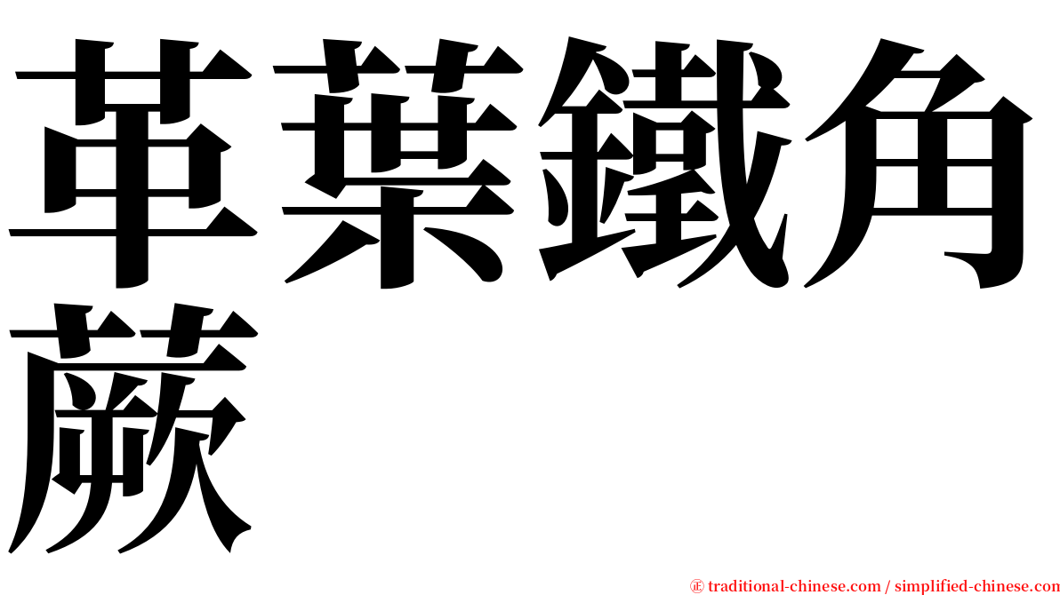 革葉鐵角蕨 serif font