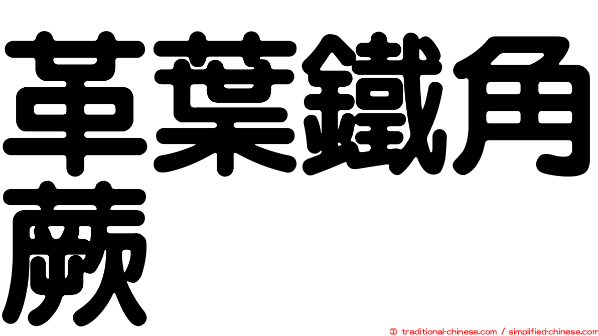 革葉鐵角蕨