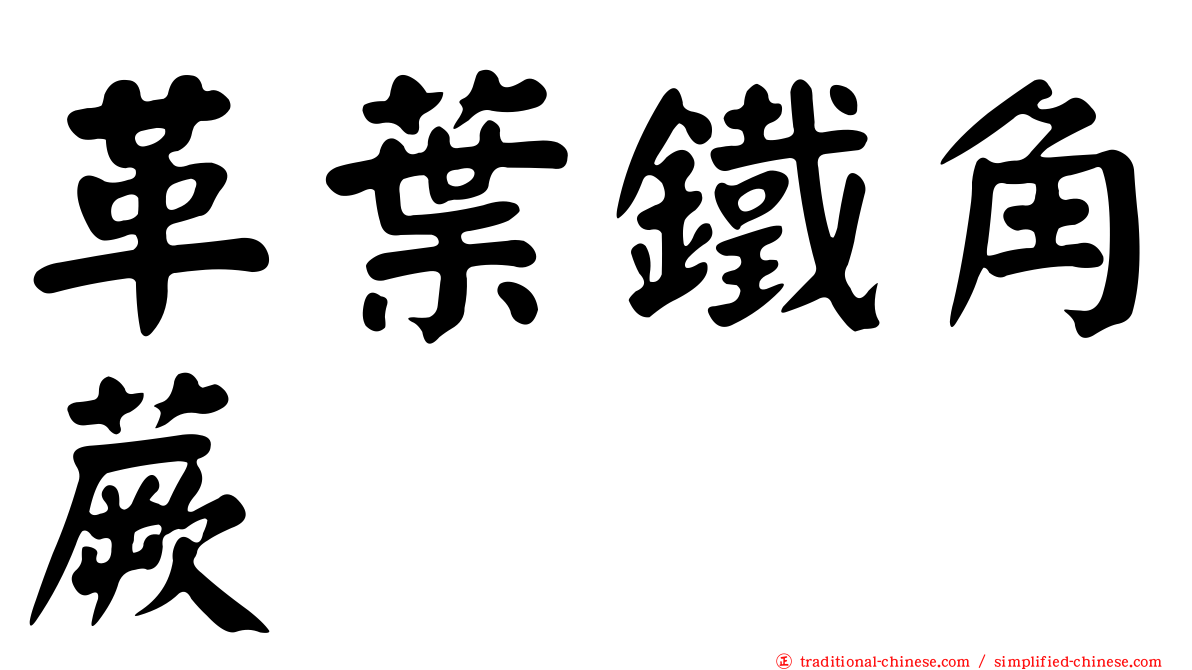 革葉鐵角蕨