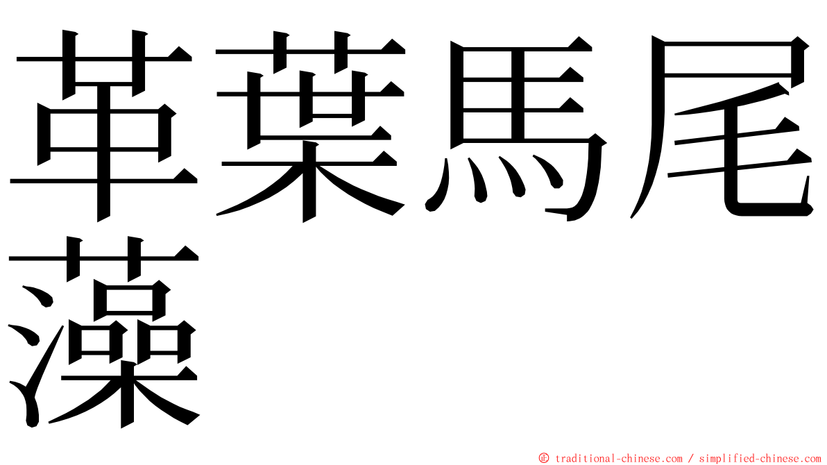 革葉馬尾藻 ming font