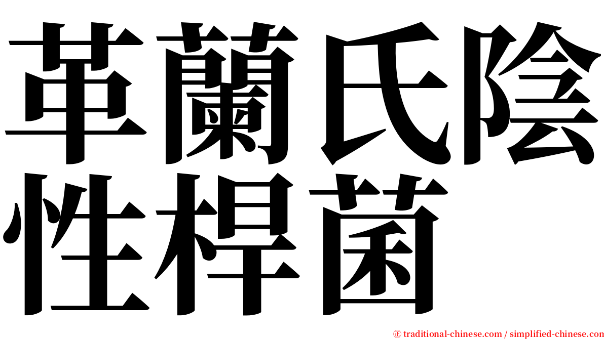 革蘭氏陰性桿菌 serif font