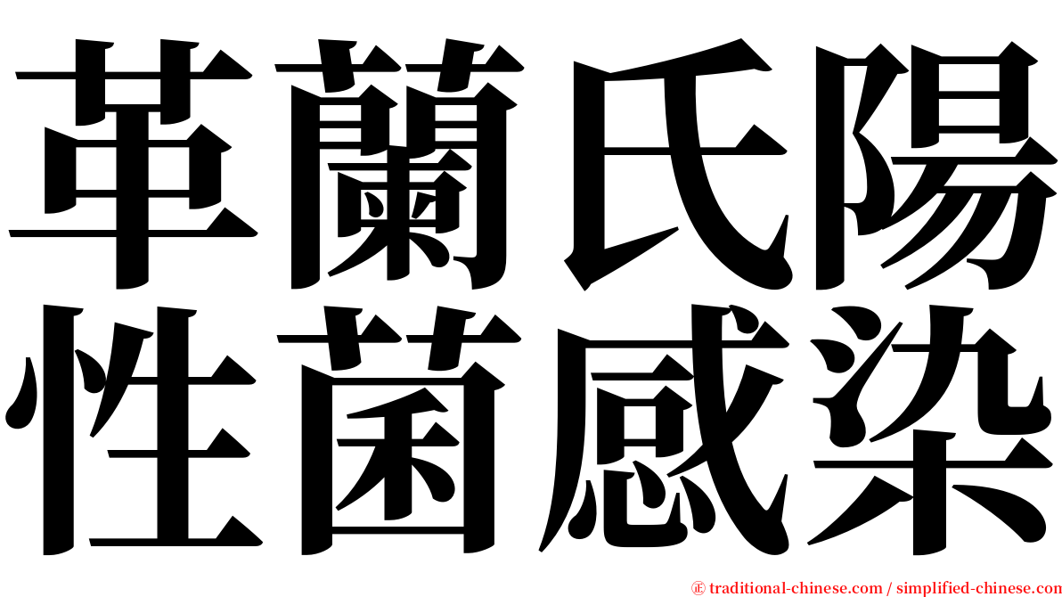 革蘭氏陽性菌感染 serif font