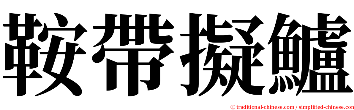 鞍帶擬鱸 serif font