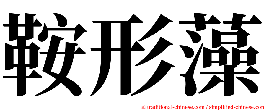 鞍形藻 serif font