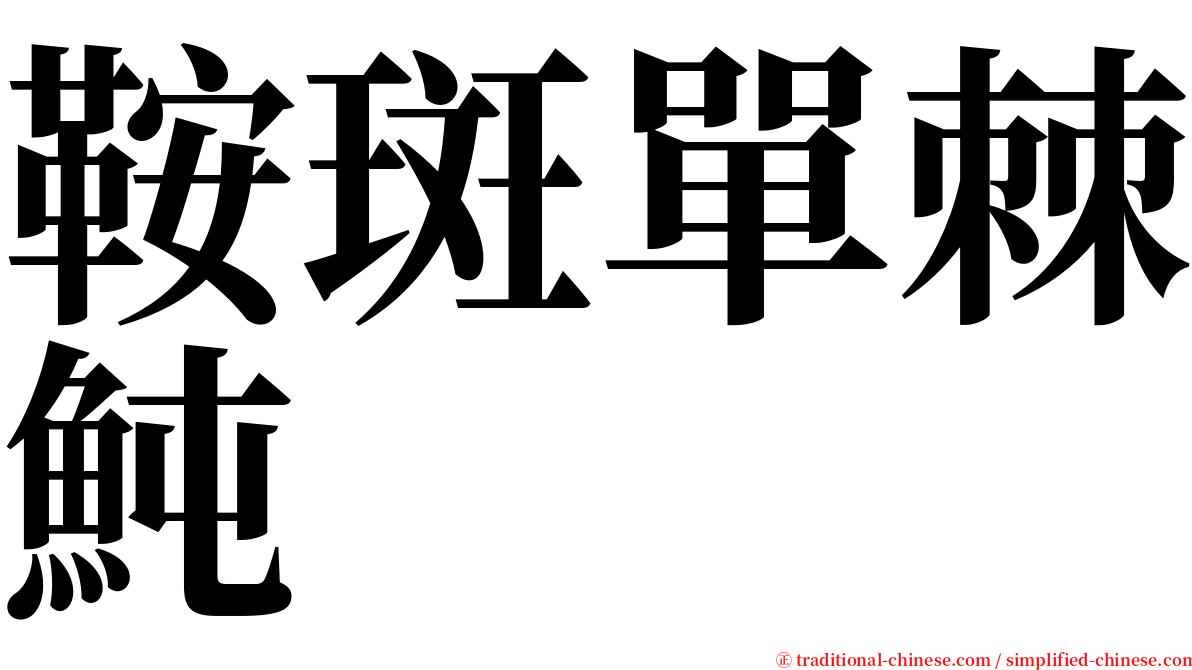 鞍斑單棘魨 serif font