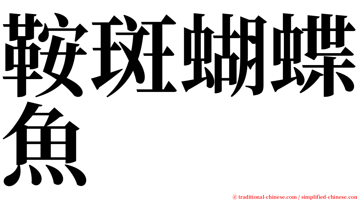 鞍斑蝴蝶魚 serif font