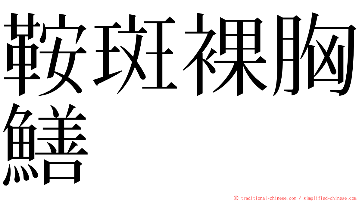 鞍斑裸胸鱔 ming font