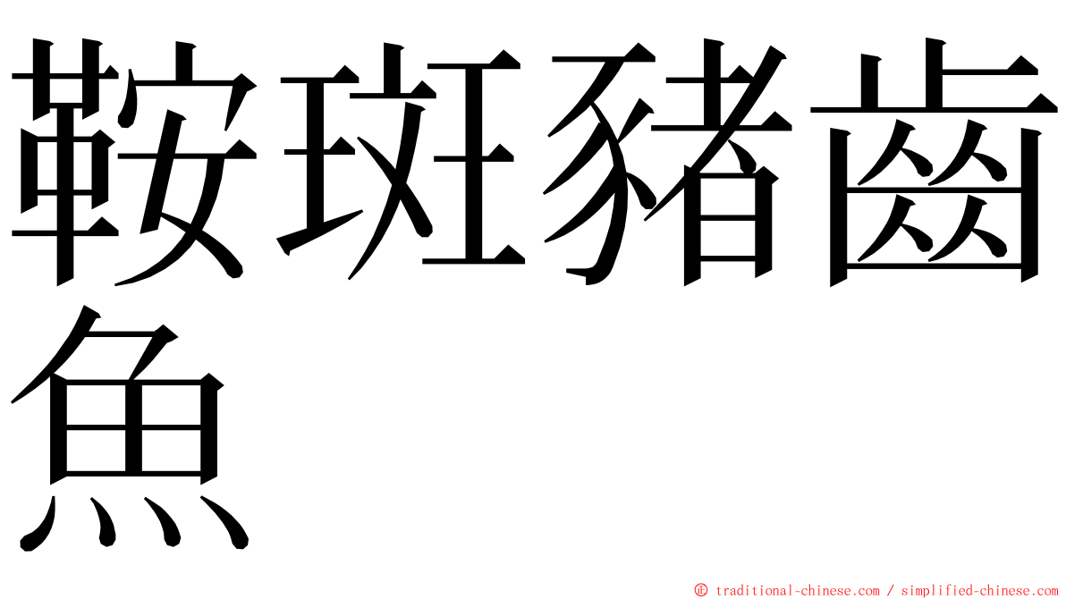 鞍斑豬齒魚 ming font