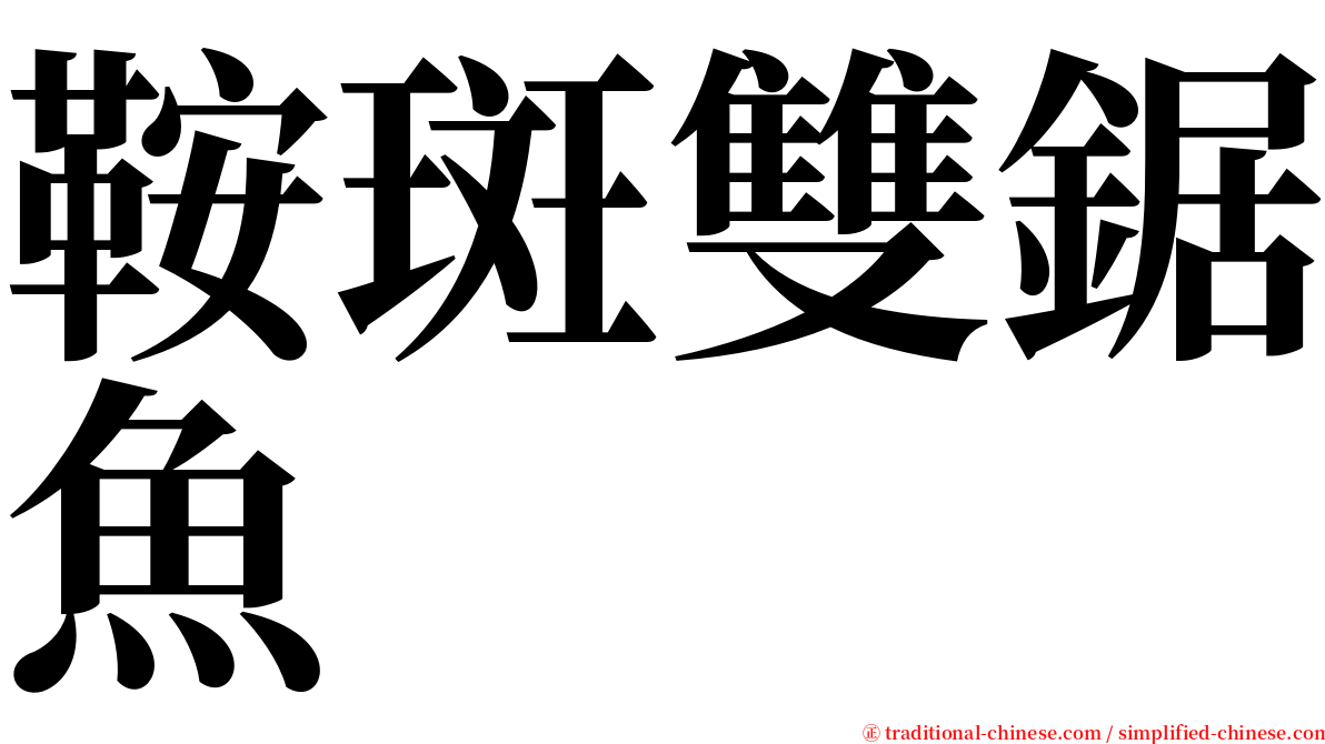 鞍斑雙鋸魚 serif font