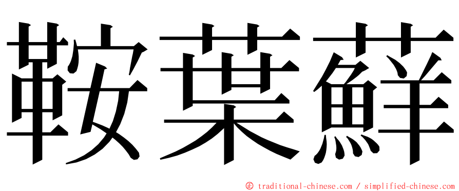 鞍葉蘚 ming font