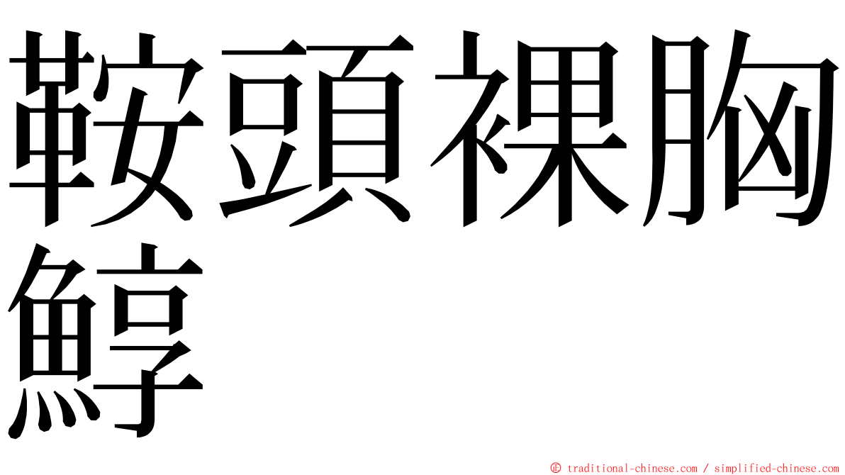 鞍頭裸胸鯙 ming font