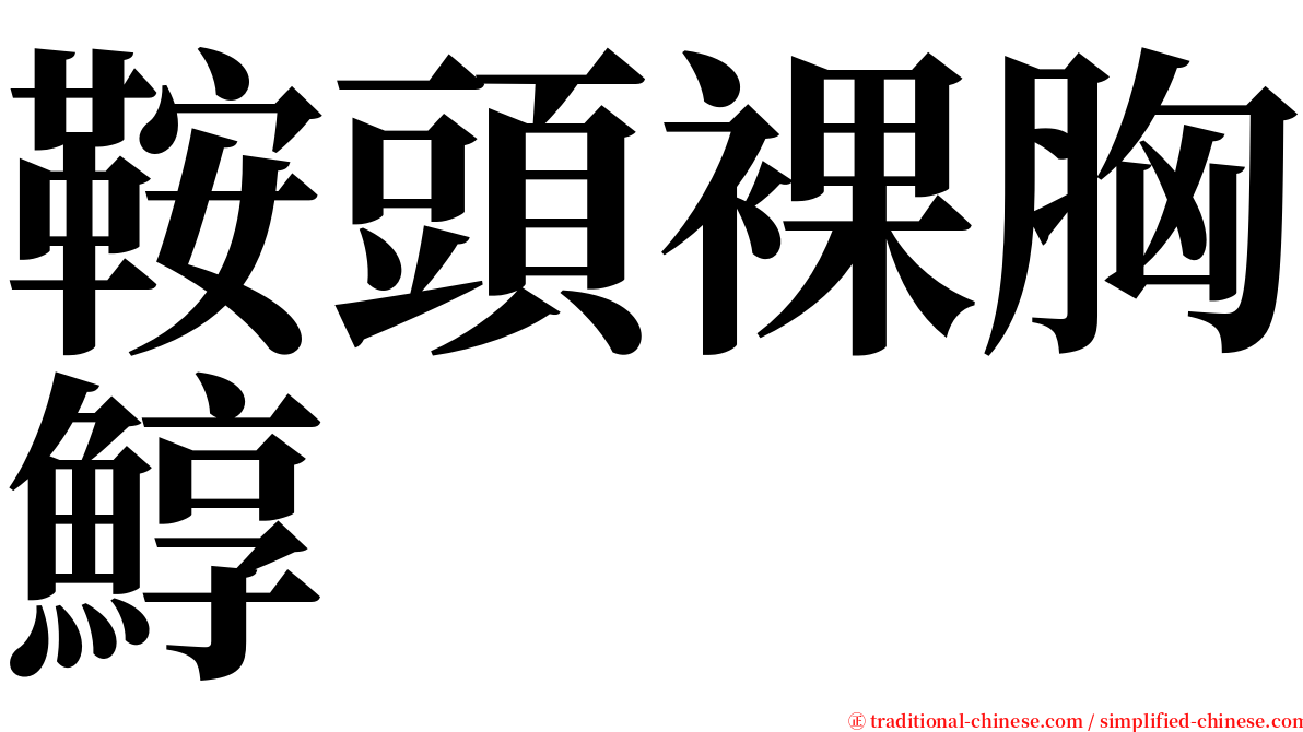 鞍頭裸胸鯙 serif font