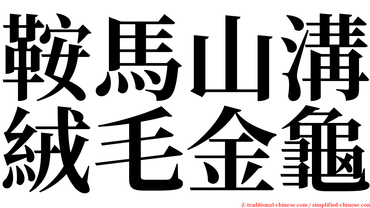 鞍馬山溝絨毛金龜 serif font