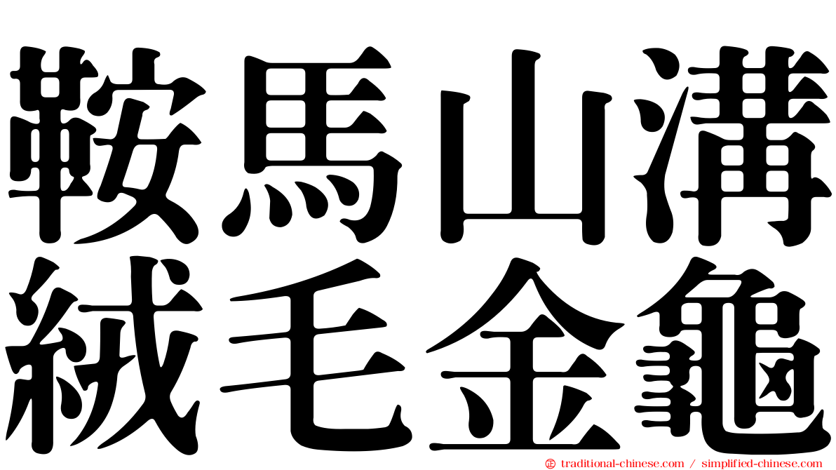 鞍馬山溝絨毛金龜