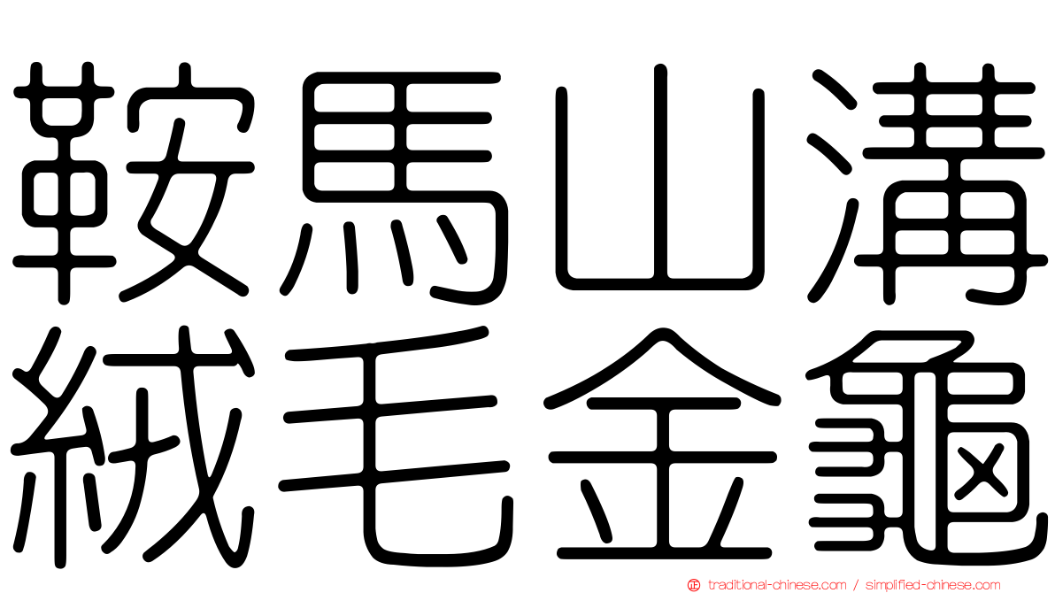 鞍馬山溝絨毛金龜