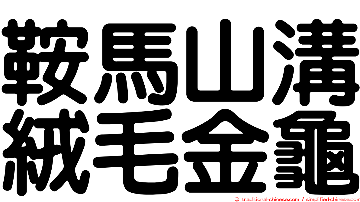 鞍馬山溝絨毛金龜