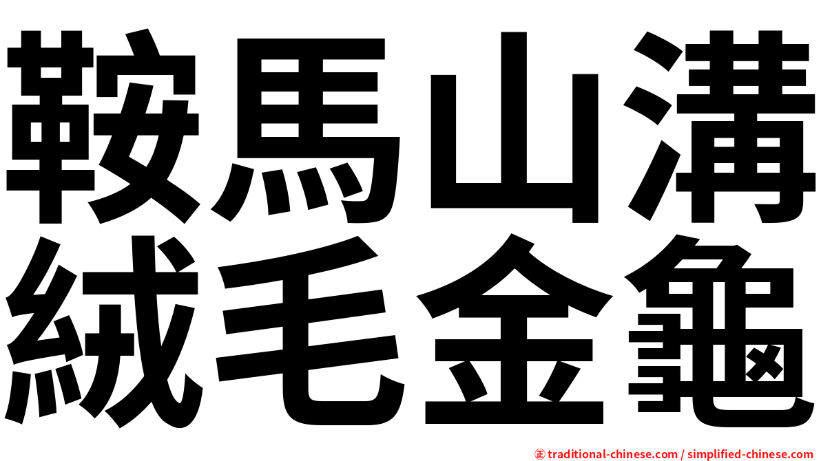 鞍馬山溝絨毛金龜