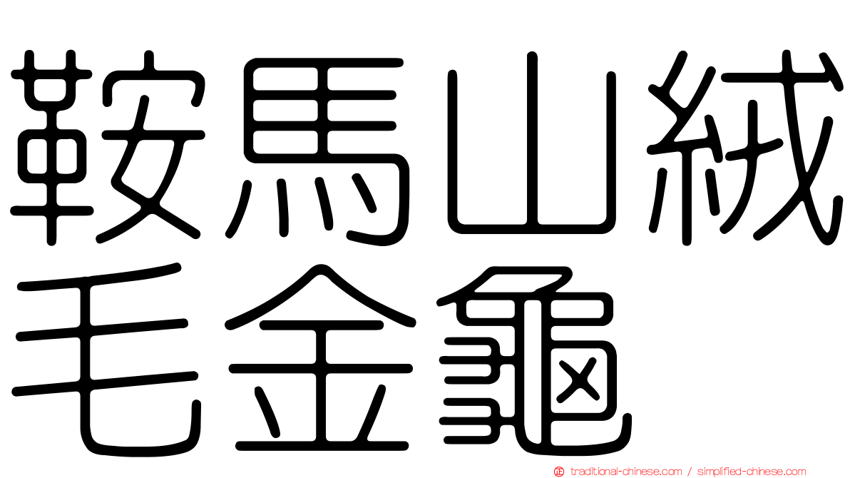 鞍馬山絨毛金龜