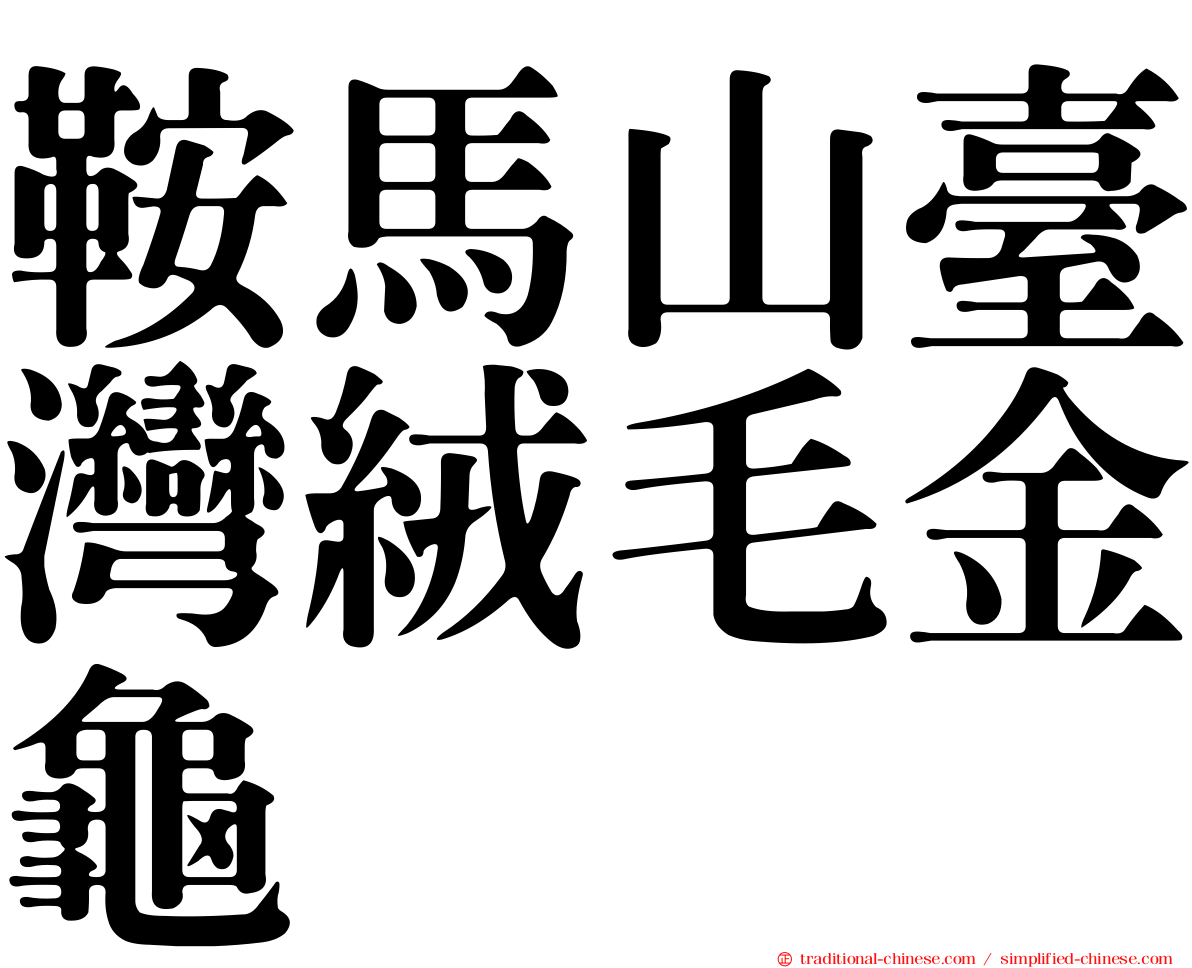 鞍馬山臺灣絨毛金龜