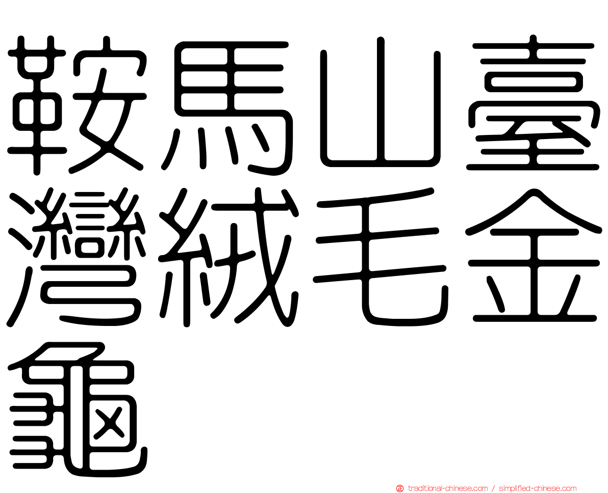 鞍馬山臺灣絨毛金龜