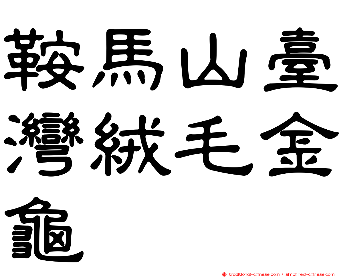 鞍馬山臺灣絨毛金龜