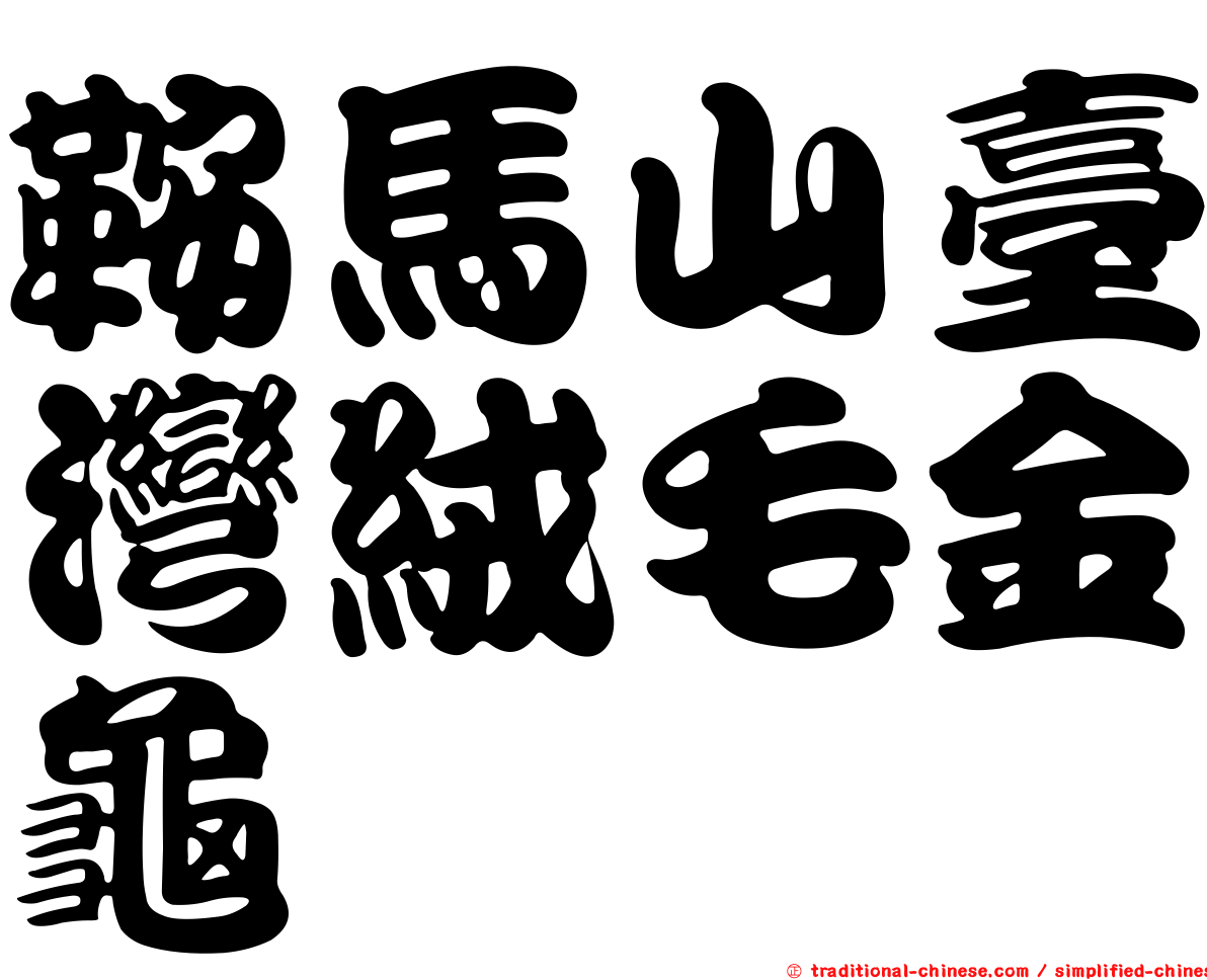 鞍馬山臺灣絨毛金龜