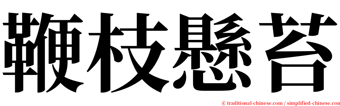 鞭枝懸苔 serif font