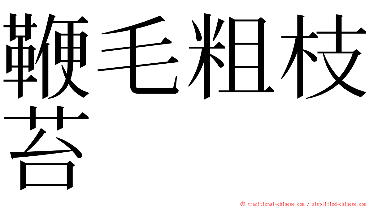 鞭毛粗枝苔 ming font