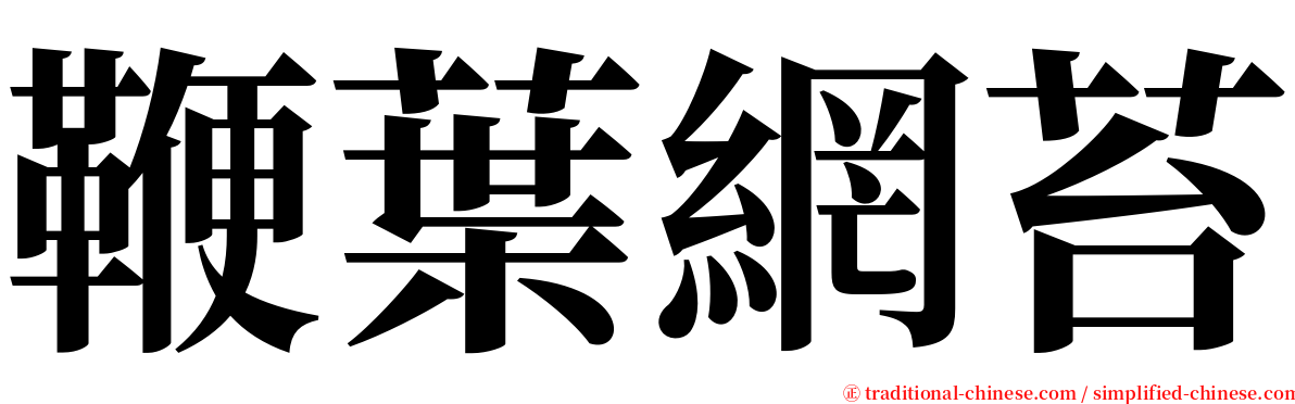 鞭葉網苔 serif font