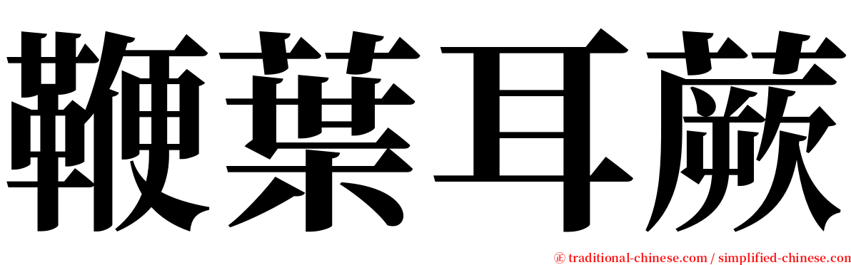 鞭葉耳蕨 serif font