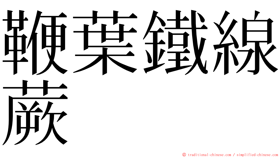 鞭葉鐵線蕨 ming font