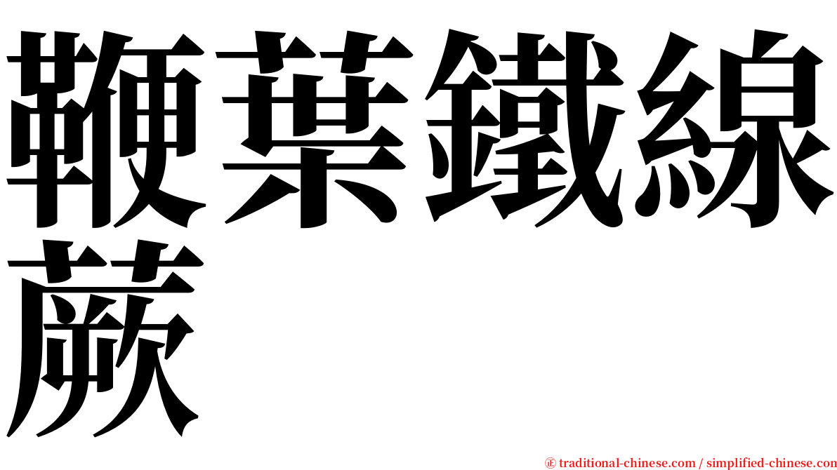 鞭葉鐵線蕨 serif font