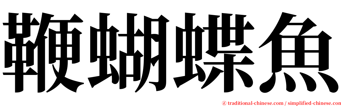 鞭蝴蝶魚 serif font