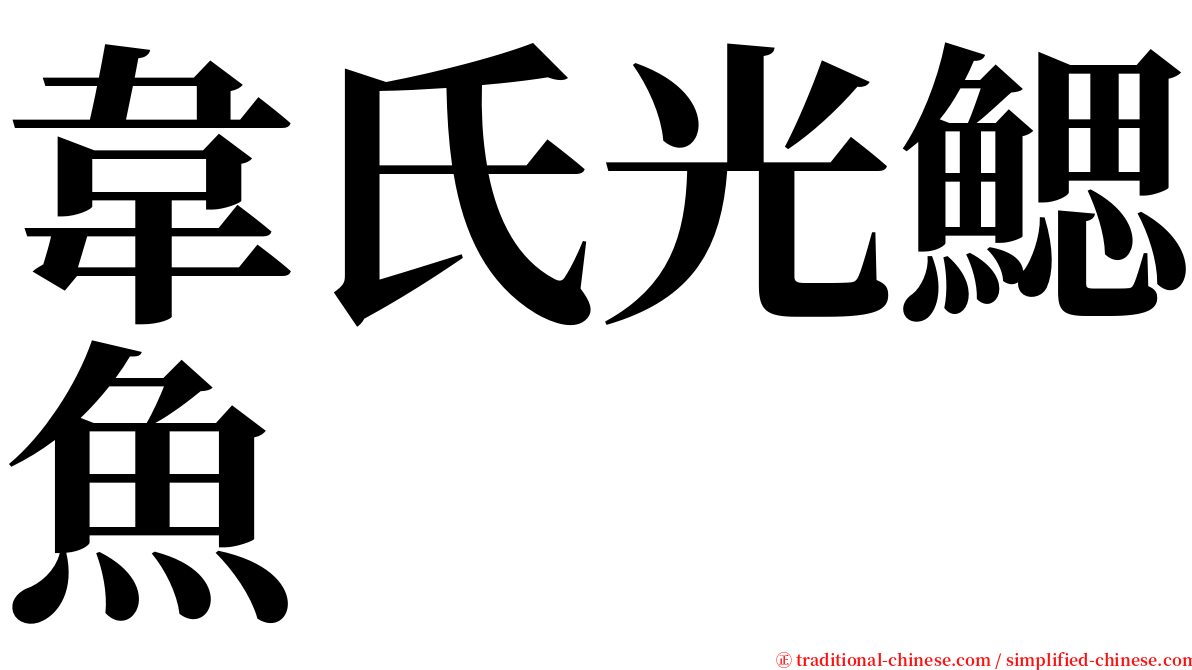 韋氏光鰓魚 serif font