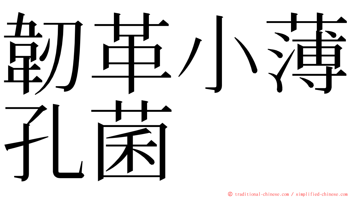 韌革小薄孔菌 ming font