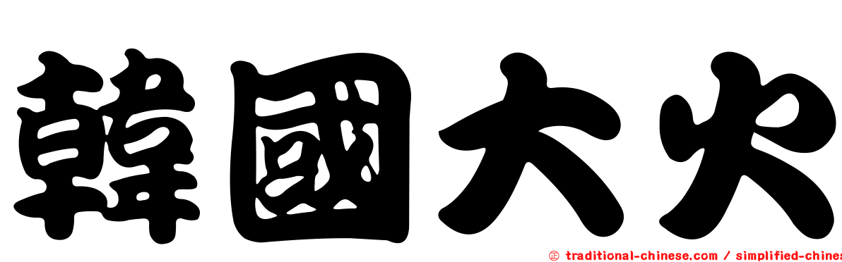 韓國大火