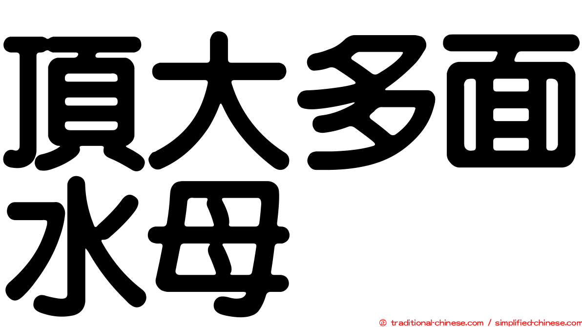 頂大多面水母