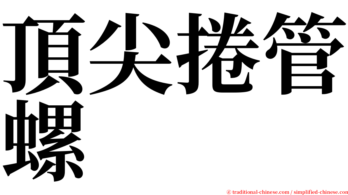 頂尖捲管螺 serif font