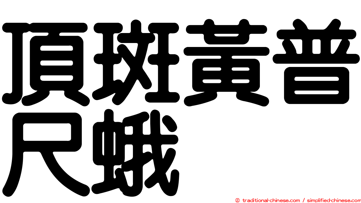 頂斑黃普尺蛾