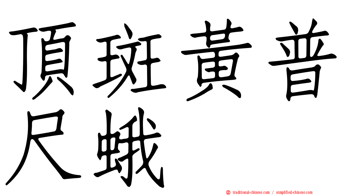 頂斑黃普尺蛾