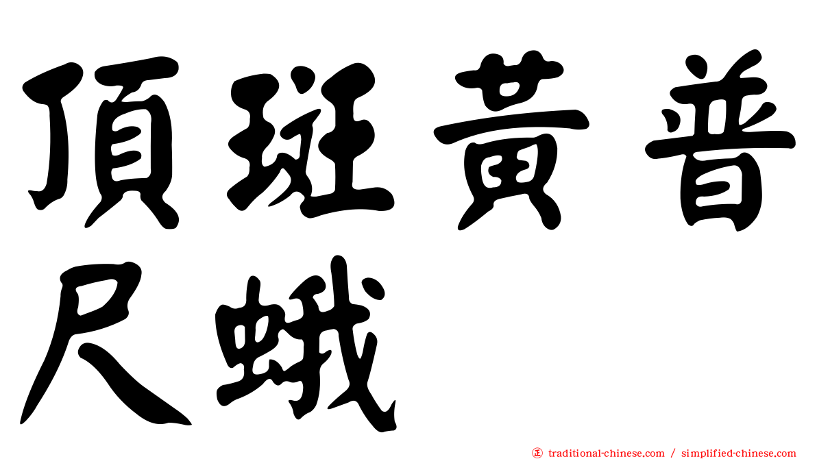 頂斑黃普尺蛾