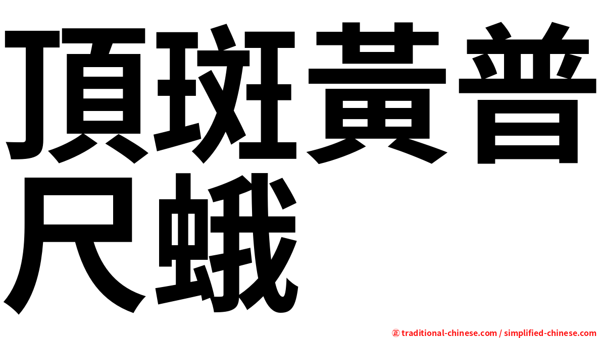 頂斑黃普尺蛾