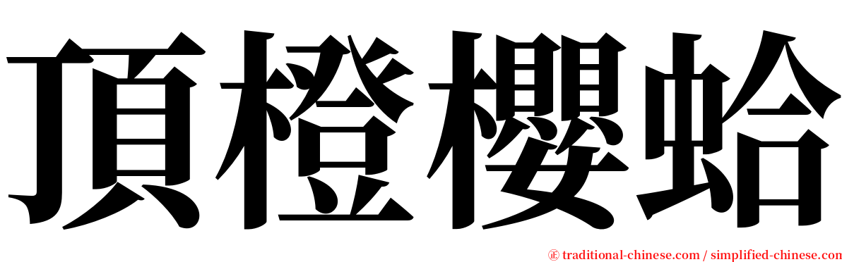 頂橙櫻蛤 serif font