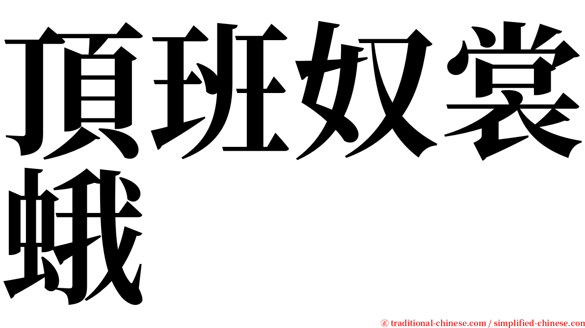 頂班奴裳蛾 serif font