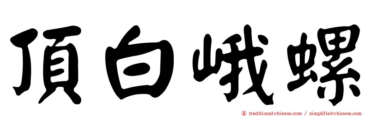 頂白峨螺