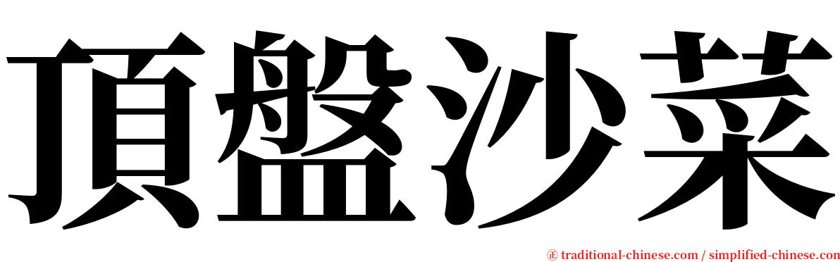 頂盤沙菜 serif font