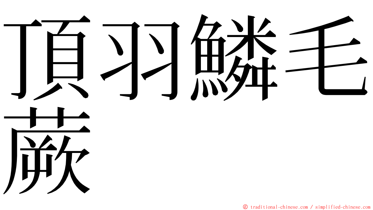 頂羽鱗毛蕨 ming font